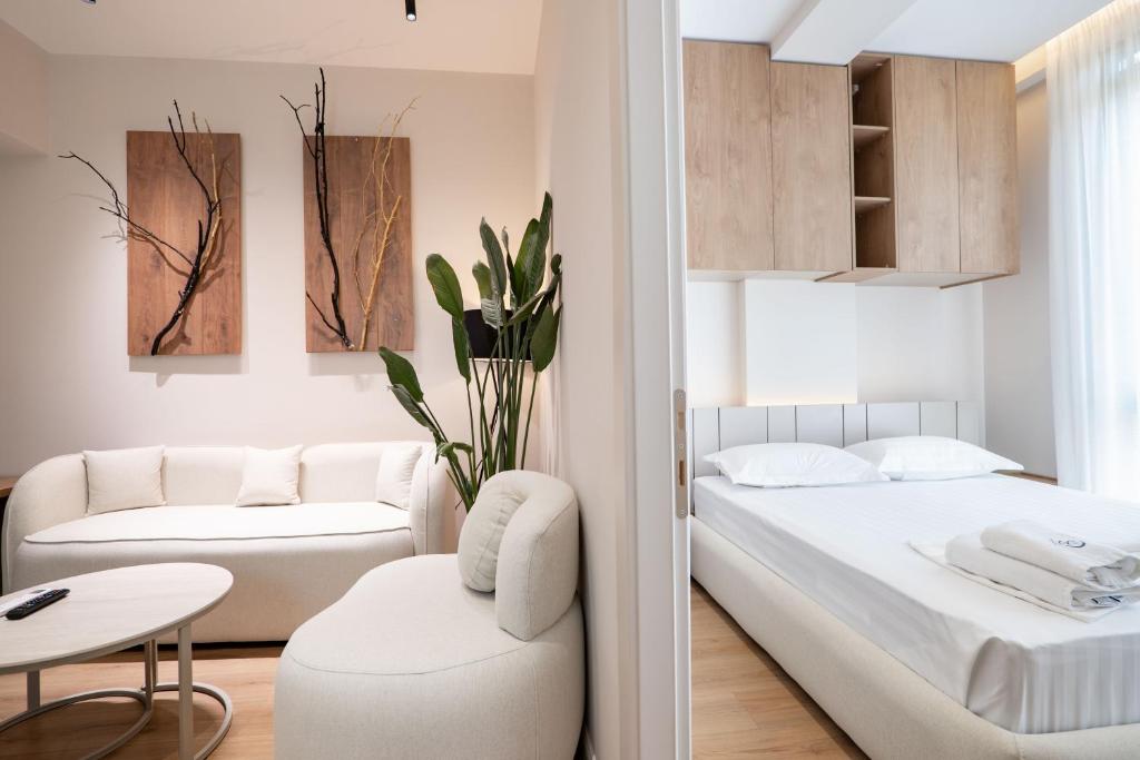 Deluxe One-Bedroom Apartment